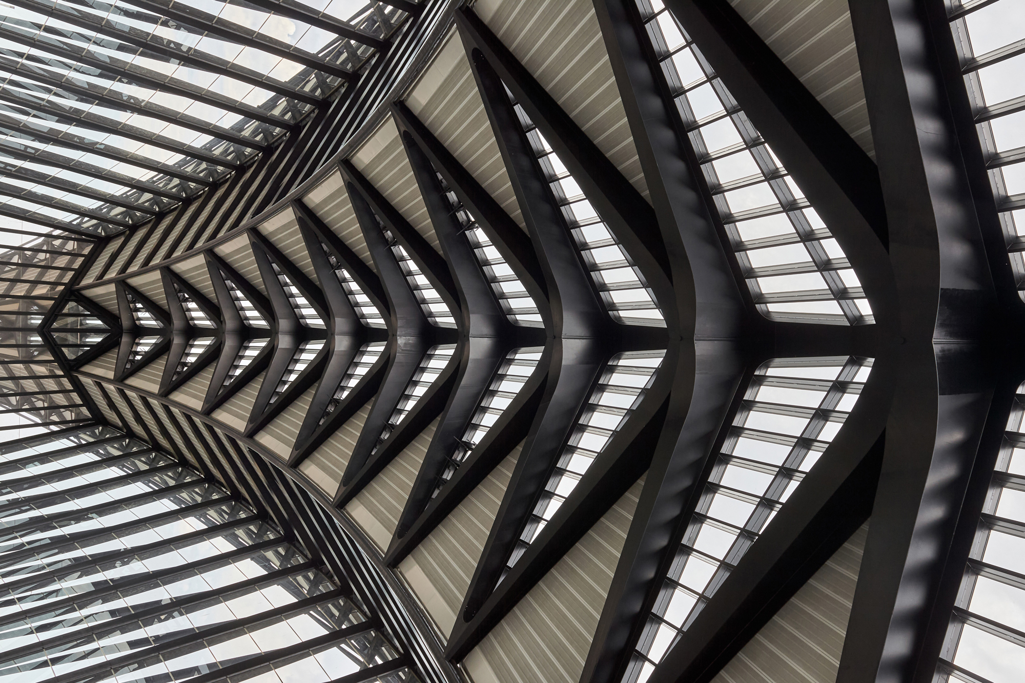 Střešní konstrukce letiště Lyon-Saint Exupéry, Francie